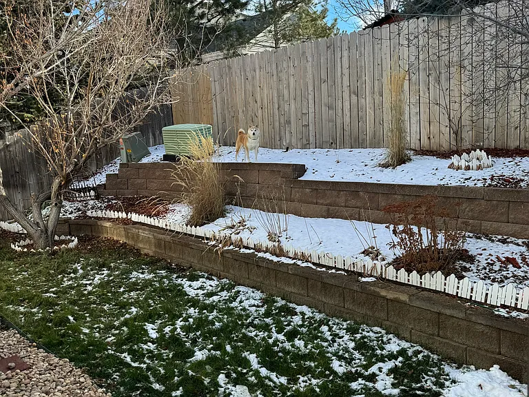 E Bellisario Creek Dr — Photo 2