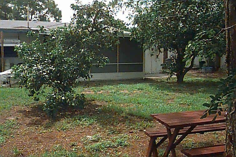 Rear View