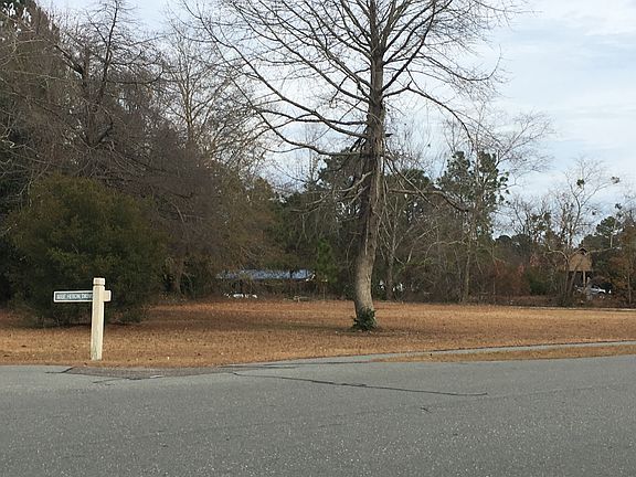 3rd image of 0 Blue Heron Dr