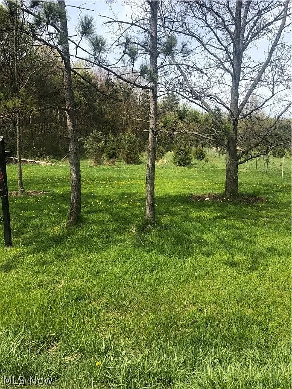Schady Rd photo 1