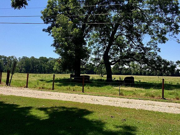 View from front porch