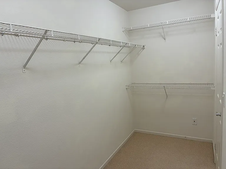 5017 Starfish Way — Photo 11