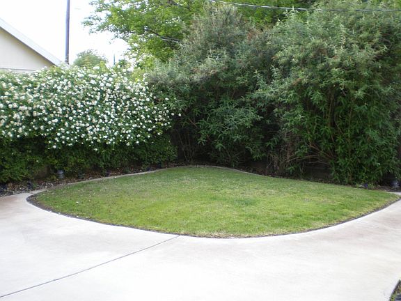 Other side of Back Yard