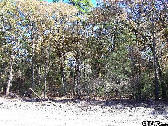 5th image of 2 Purley Farms Cir