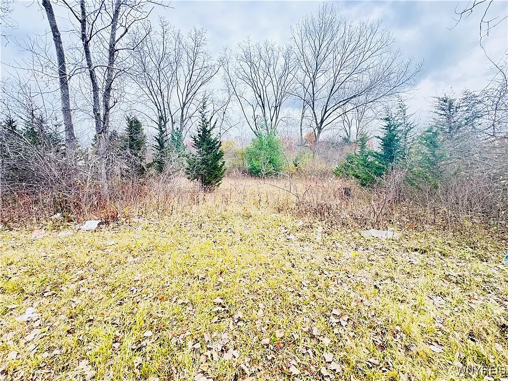 52 Fairgreen Dr #44 photo 1
