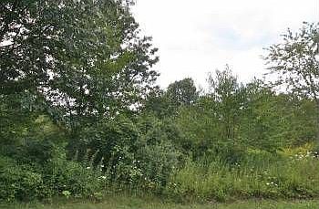 2nd image of 3741 Four Mile Rd NE