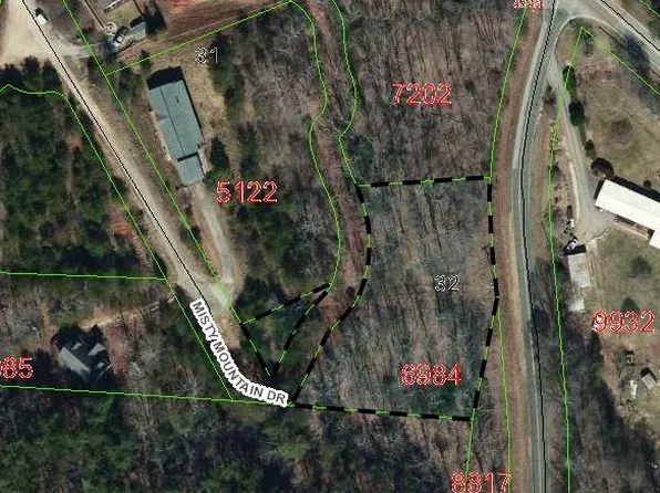 9999 Misty Mountain Dr #32, Nebo, NC 28761