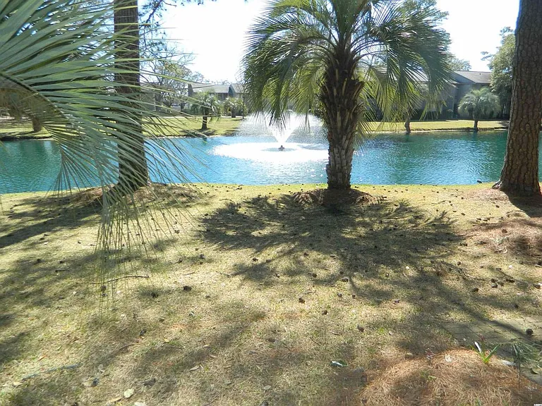 435 Salt Marsh Cir #19D — Photo 8