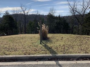 310 Summerwood Dr, Branson, MO 65616