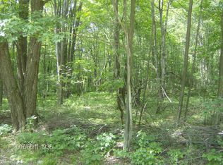 Sky Hawk Ln, Gouldsboro, PA 18424