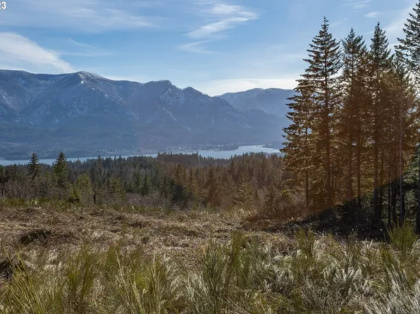 Loop Rd, Stevenson, WA 98648