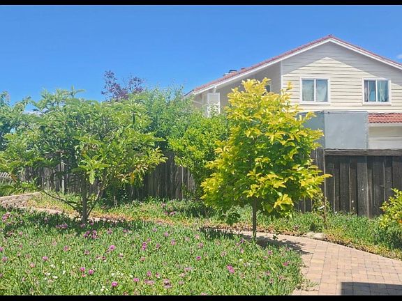 3rd image of 267 Elderberry Ct