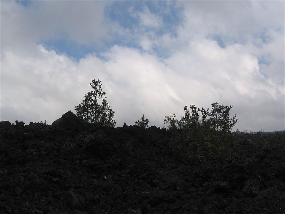 2nd image of Palm Pkwy Lot 30