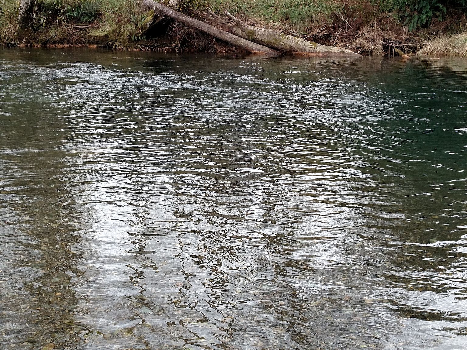 477 Upper Naselle Rd, Naselle, WA 98638 Zillow