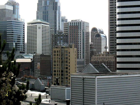 View from deck