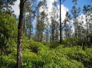 40th St LOT 2, Kurtistown, HI 96760