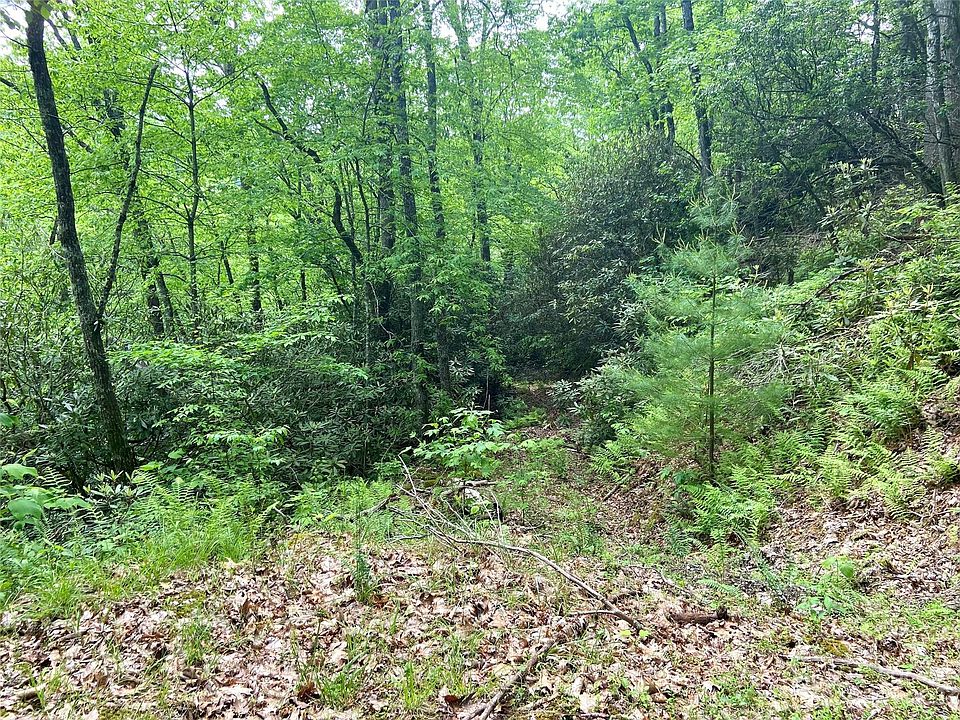 LOT 10 Mystic Forest Way, Bryson City, NC 28713 MLS 4034130 Zillow