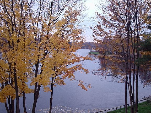View of the Lake