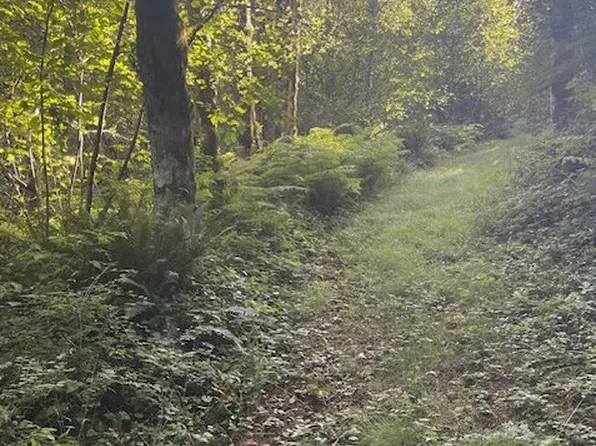 0 Mathews Rd, Washougal, WA 98671