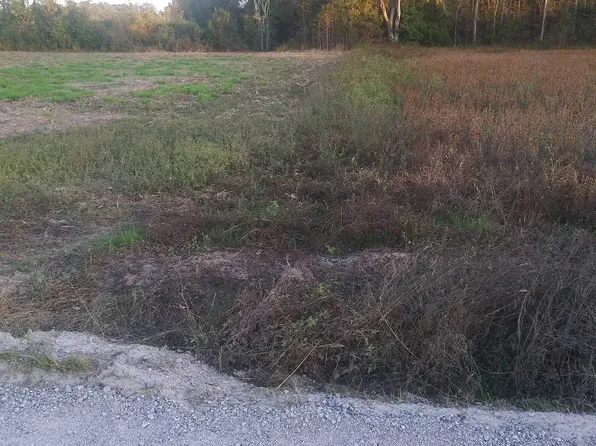 Lot 1 Miller Rd. #Davis Lane, Mullins, SC 29574