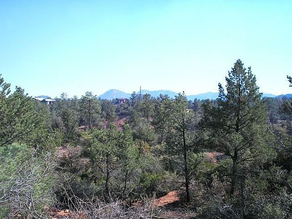 4th image of 119 N Feather Plume Cir