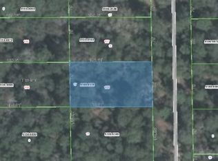 105 Rhode Island Ave, Satsuma, FL 32189