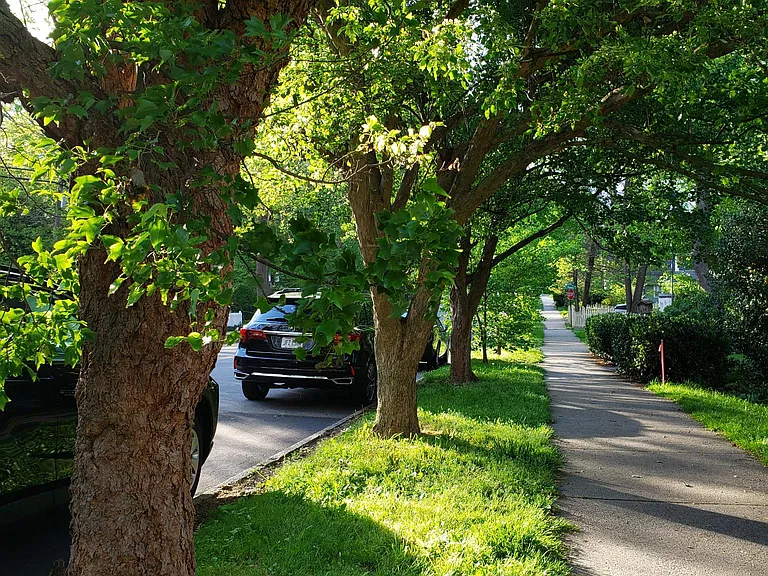 Cumberland Cir — Photo 17
