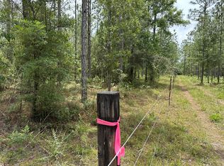 PARCEL Wildlife Rd #D, Holt, FL 32564