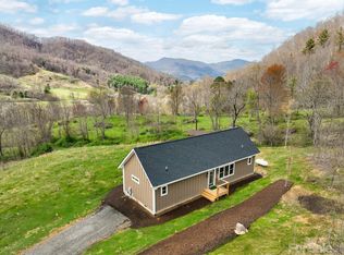 295 Split Pine Cv, Clyde, NC 28721