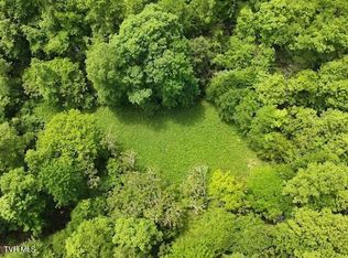 Buffalo Hollow Rd, Castlewood, VA 24224