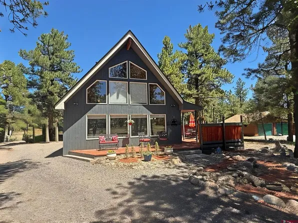 139 Bristle Cone, South Fork, CO 81154