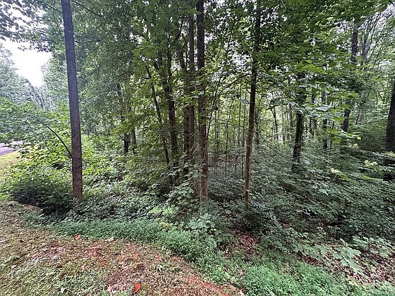 5th image of Lt 64/65 Rocky Knob Estates LOT 64,65
