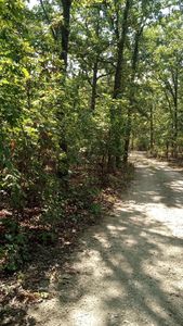 89 Middle Earth Trail, Louisburg, MO, 65685