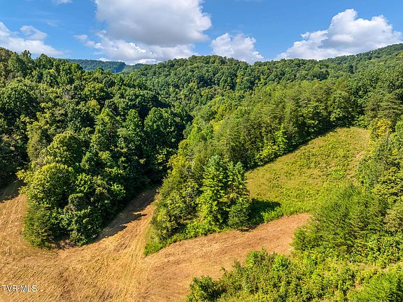 5th image of Bear Hollow Rd
