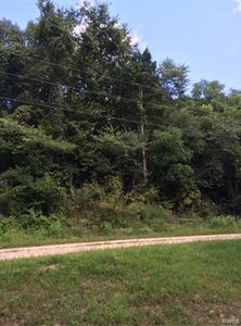 108 Anthonies Estate Dr #108, Bourbon, MO, 65441