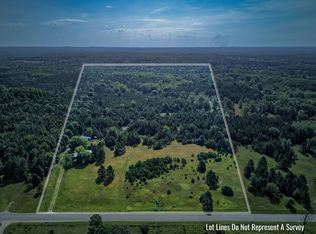 2346 N Poplar Ave, White Cloud, MI 49349