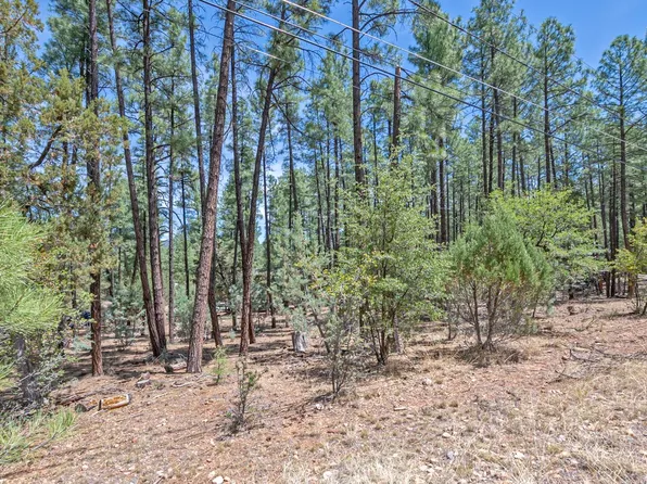 LOT 138 W Marcy Way, Pine, AZ 85544