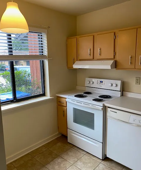 552 Asbury Rdg #552 — Photo 10