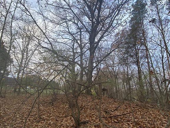 3rd image of 1587 Cedar Knoll Ln