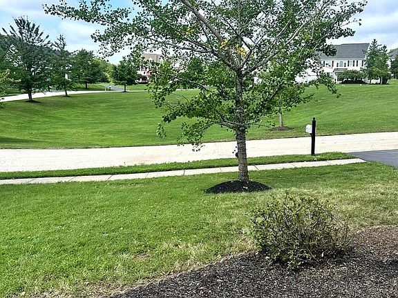 2nd image of 6003 Shady Wood Cir