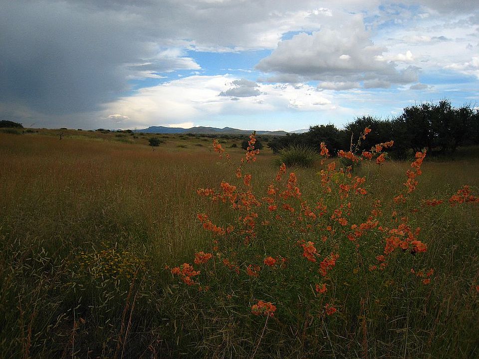 Close to S.C. & worlds away 