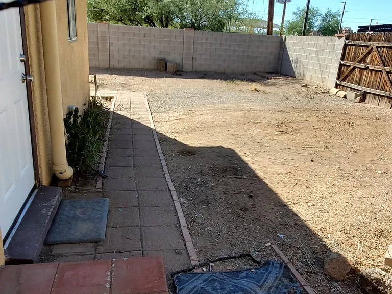 back yard