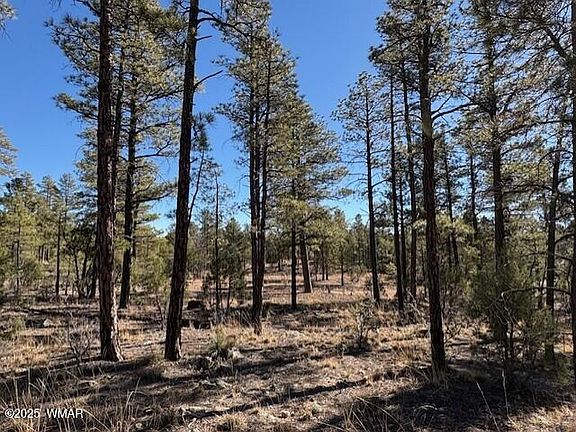 2nd image of 3071 W Black Oak Loop