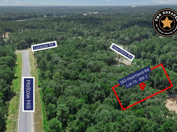 163 Heartland Rd, New Waverly, TX 77358