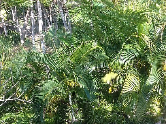 3rd image of 180 Wilhelm Dr