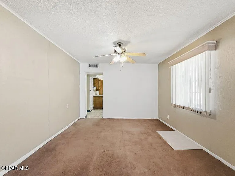 921 Olive Ave — Photo 10