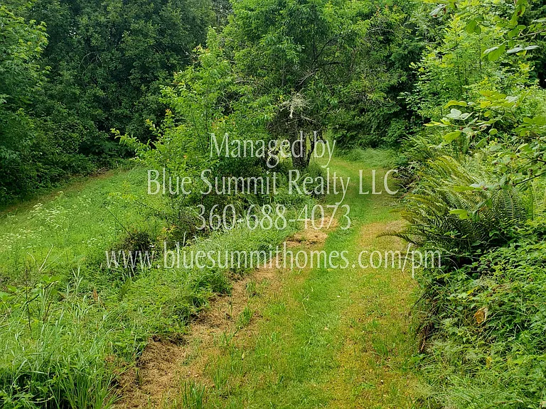 4848 Sleater Kinney Rd NE — Photo 25