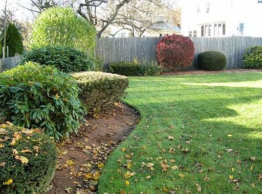 landscaped yard