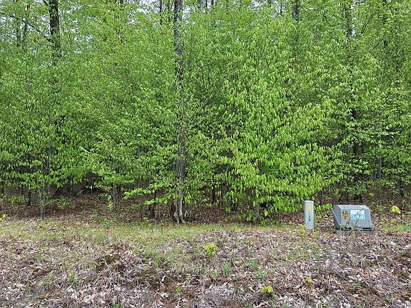 3rd image of 0 Hardwood Cir