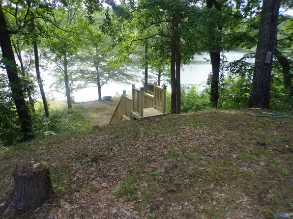 357 County Road 559, Moulton, AL 35650